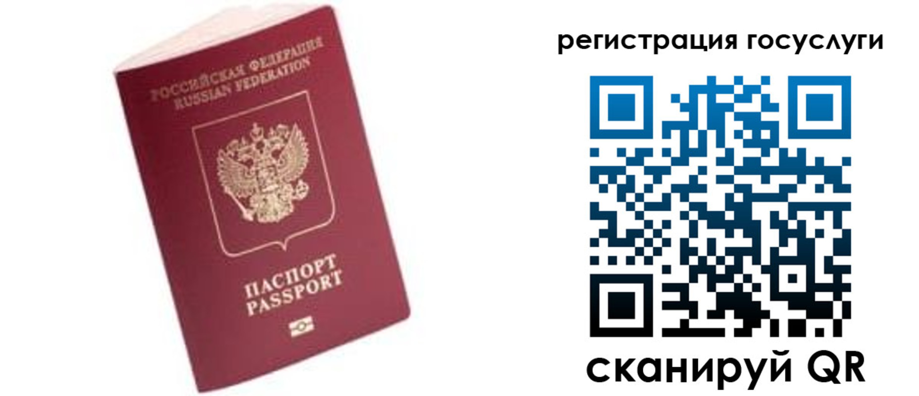 прописка поиск в Жирновске